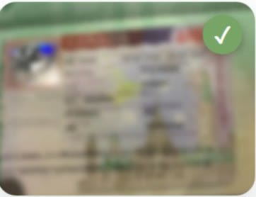 Student visa approval for Ali, document blurred for privacy