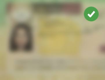 Student visa approval for Alishba, document blurred for privacy