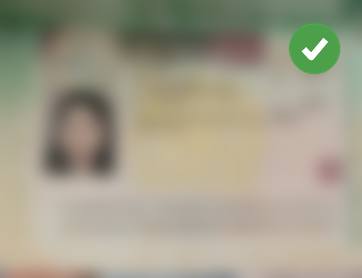 Student visa approval for Tahira, document blurred for privacy